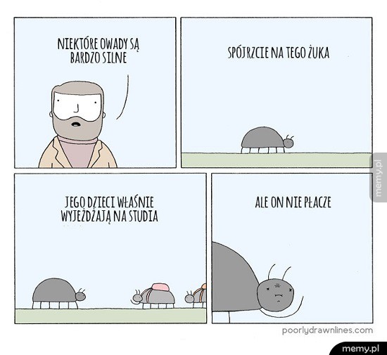 Ależ emocje