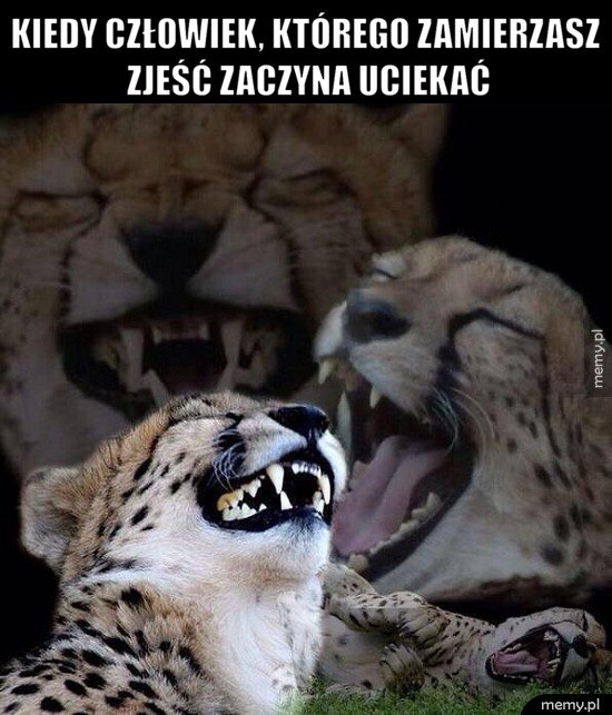 Wolne żarty