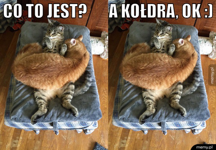 Kiedy śpisz z dziewczyną.