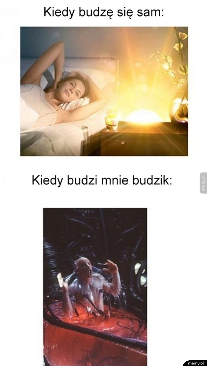 Tak to wygląda