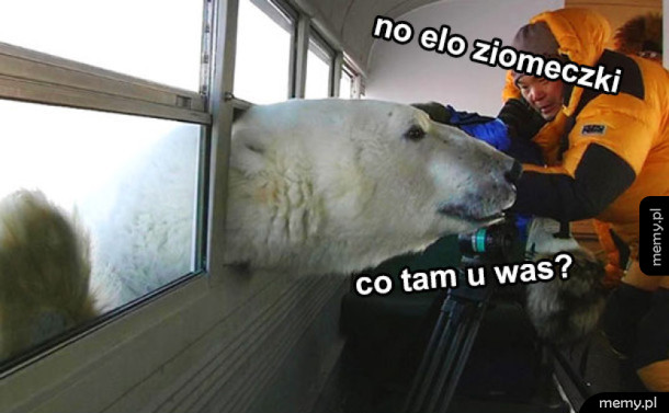 No elo