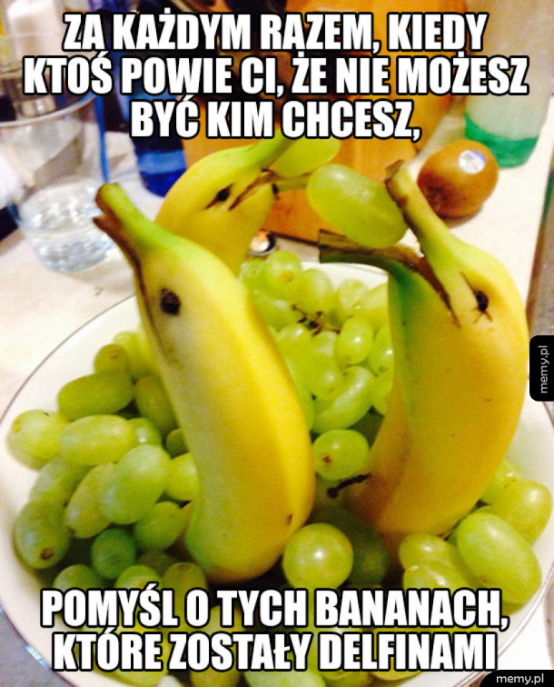 Nie bój się marzeń