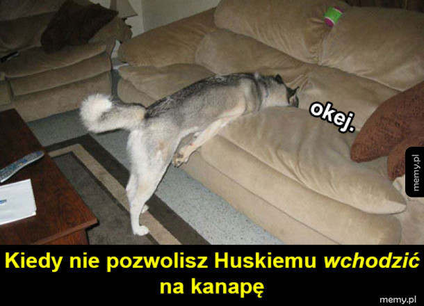 Nie wszedł
