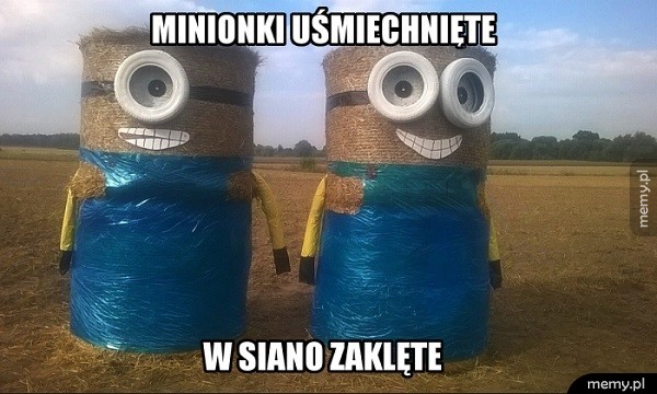 Minionki