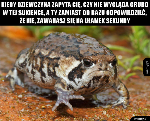 Sukienka