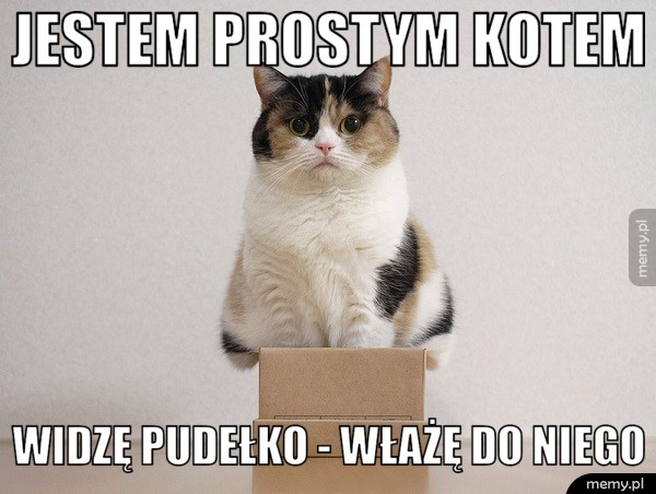 Koty takie są