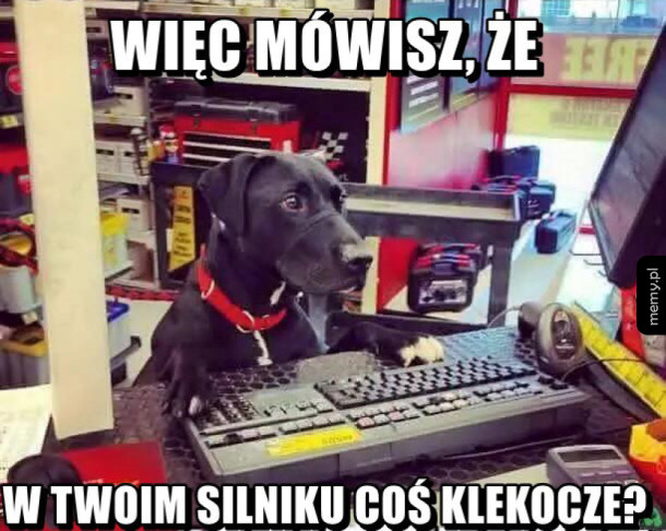 Janusz mechanik