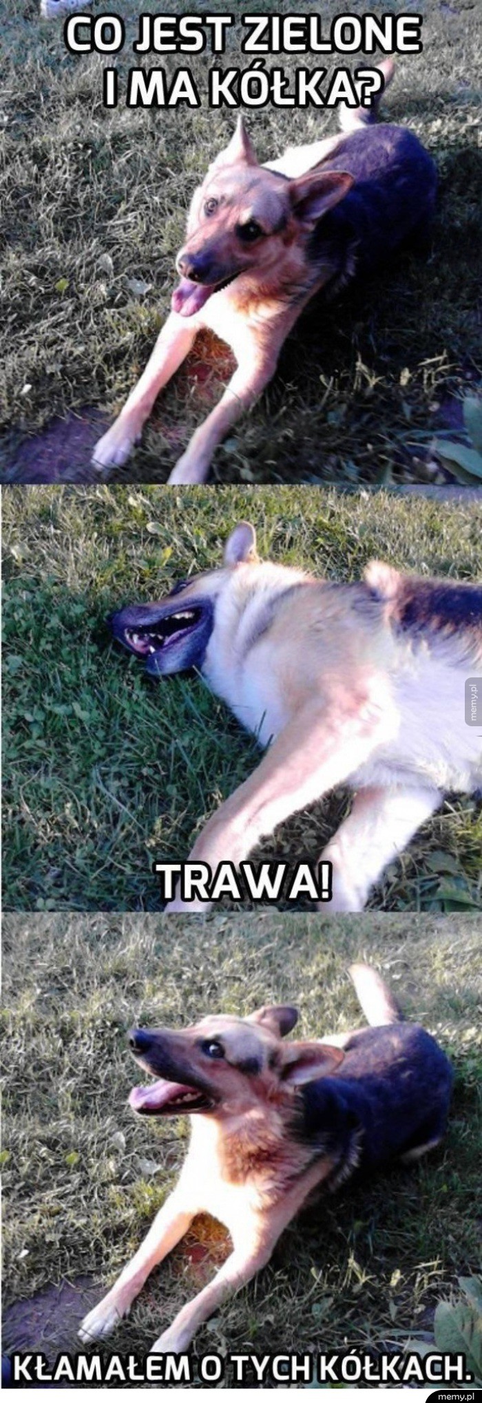                     Zagadka 