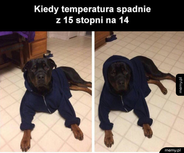 Zimno