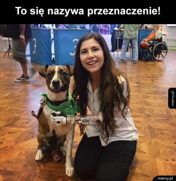 Przeznaczenie i prawdziwa przyjaźń